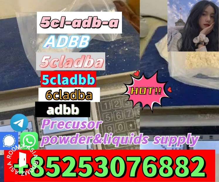 High quality 5CL-ADB powder supplier 5cl adb 5cladba 5cl 2cladb BMK Pmk good service