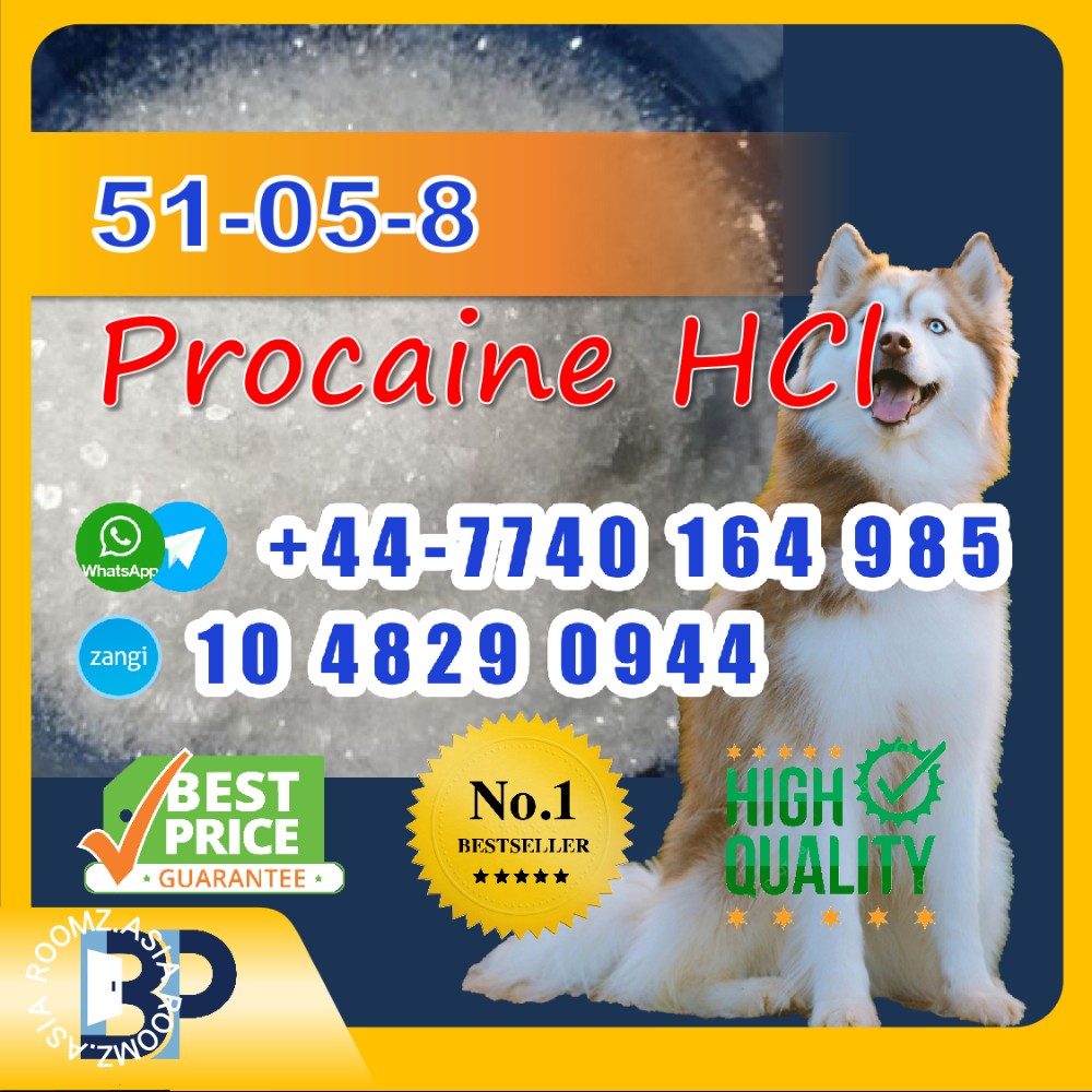 51-05-8 Procaine HCl raw materials