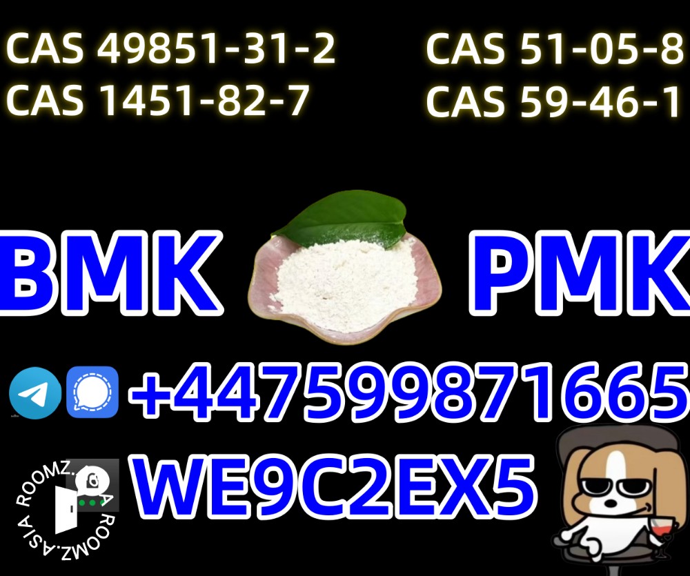 New BMK Powder CAS 5449-12-7