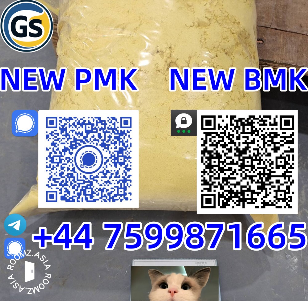 PMK Shrinkable ethyl glycerate New PMK Oil CAS 28578-16-7 /1369021-80-6 New Pmk glycidyl ester Powder CAS 52190-28-0 /4676-39-5 /2050-07-9 Diethyl phenylacetyl malonate BMK Oil CAS 20320-59-6 3-oxy-4-phenylbutyrate ethyl BMK oil CAS 718-08-1 New BMK P