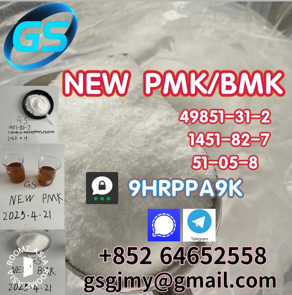 Supplier NEW PMK-BMK CAS: 5449-12-7 28578-16-7 49851-31-2 1451-82-7 51-05-8 59-46-1Chemical